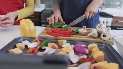 Glückliches-Kaukasisches-Lesbisches-Paar-Bereitet-Essen-In-Sonniger-Küche-Zu