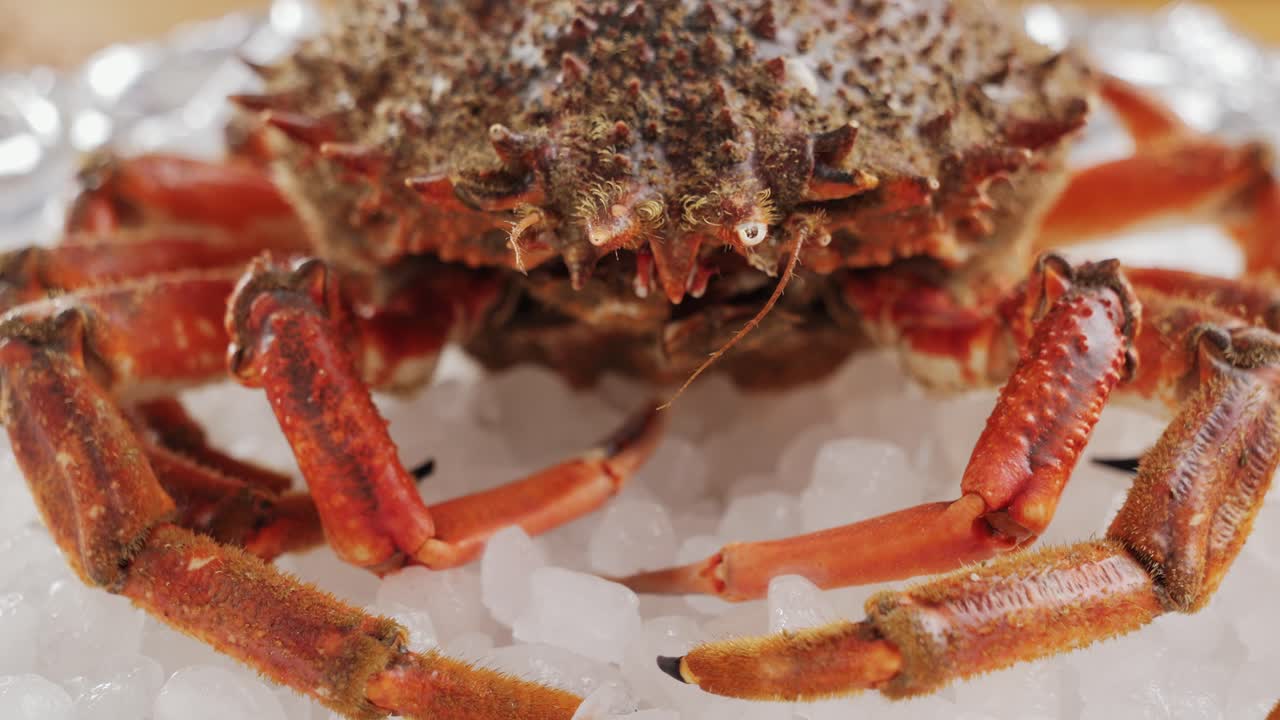 Fresh Spanish Crab on Ice