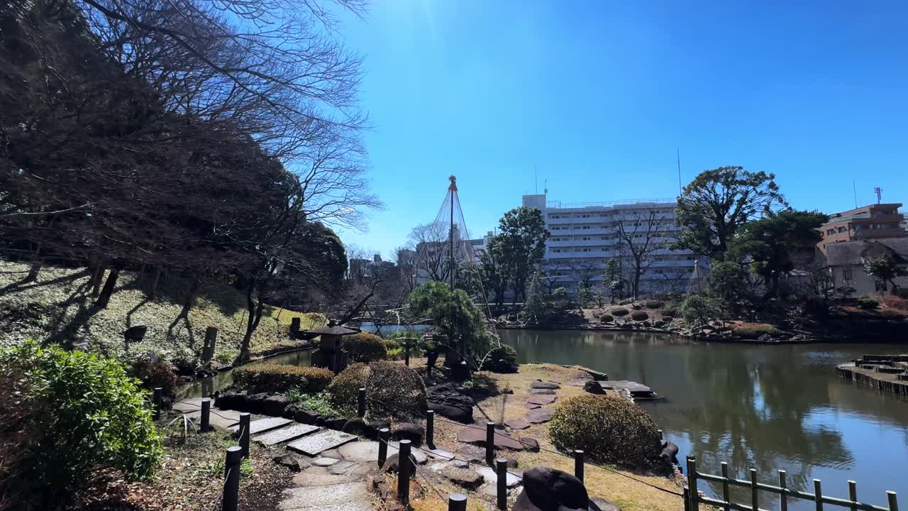 A tranquil Japanese garden in Tokyo with bare trees, clear skies, and a calm pond