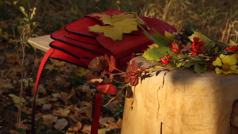 red bag on bench in garden with plants bathed in autumnal colors