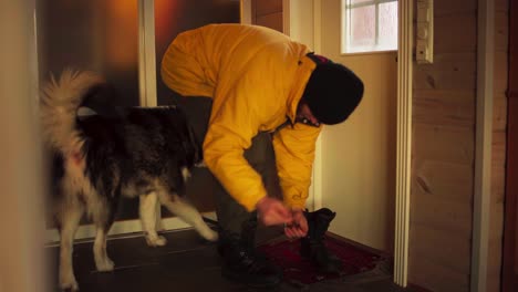 man putting on winter boots in the house before going out with pet dog alaskan malamute standing next to him