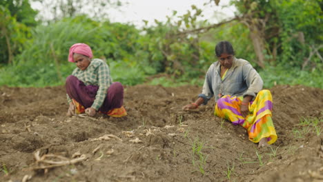indian woman working on a farm
