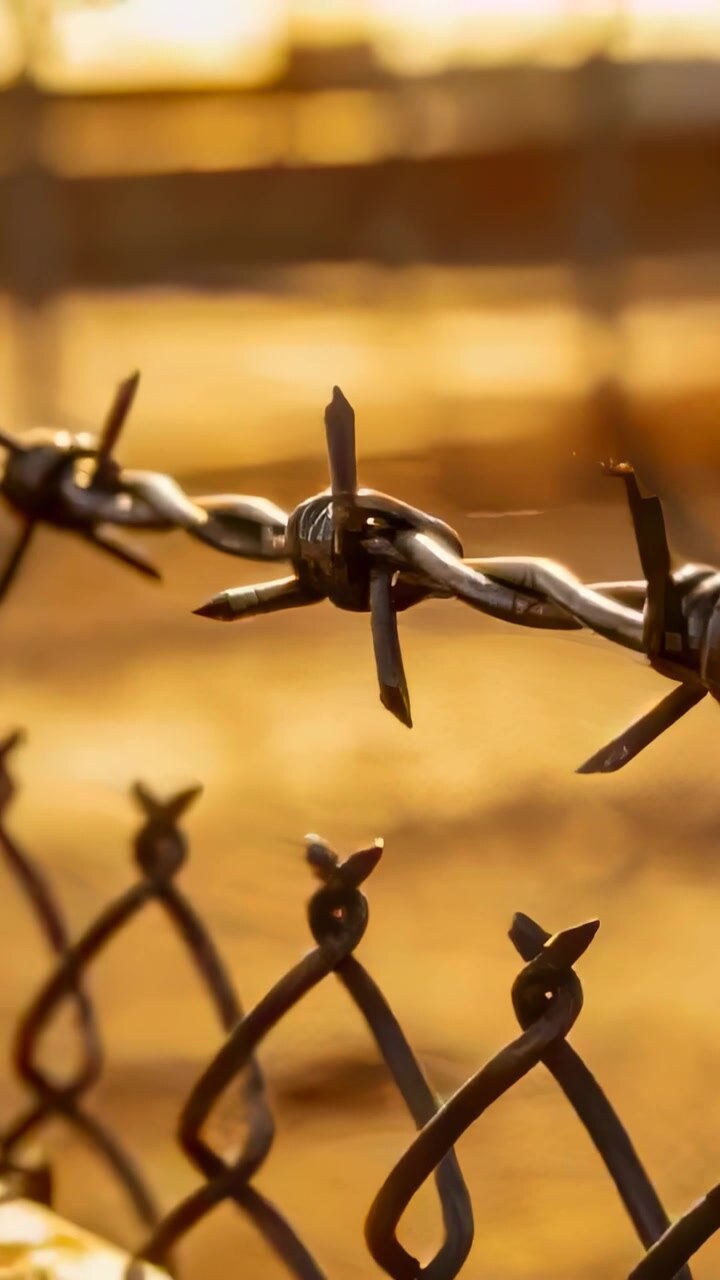 Vertical video: Lens panning, focusing barbed wire above chain link fence in field, showing cobwebs