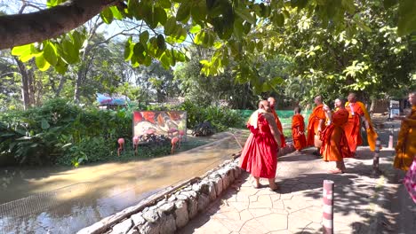 monks stroll through a lush, serene path