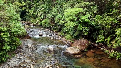 incredible aerial view of an amazonian brook between peaceful greenery