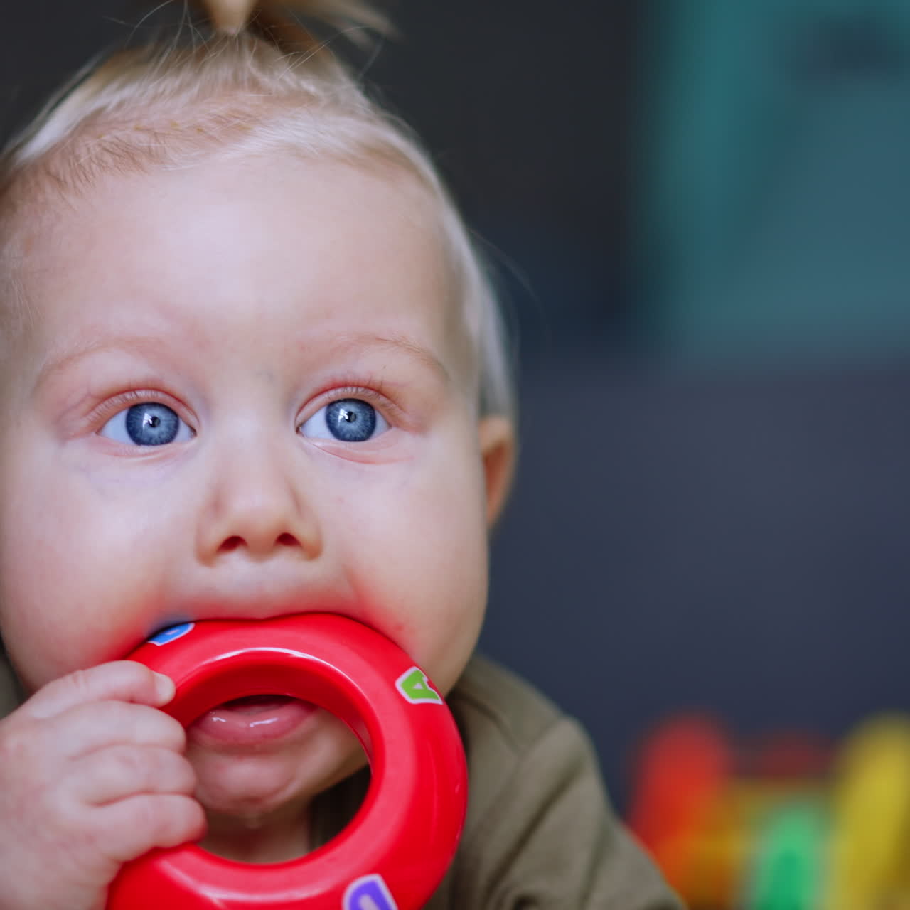 Lovely blue-eyed blond baby chewing a red toy. Close up portrait of an infant of six months old