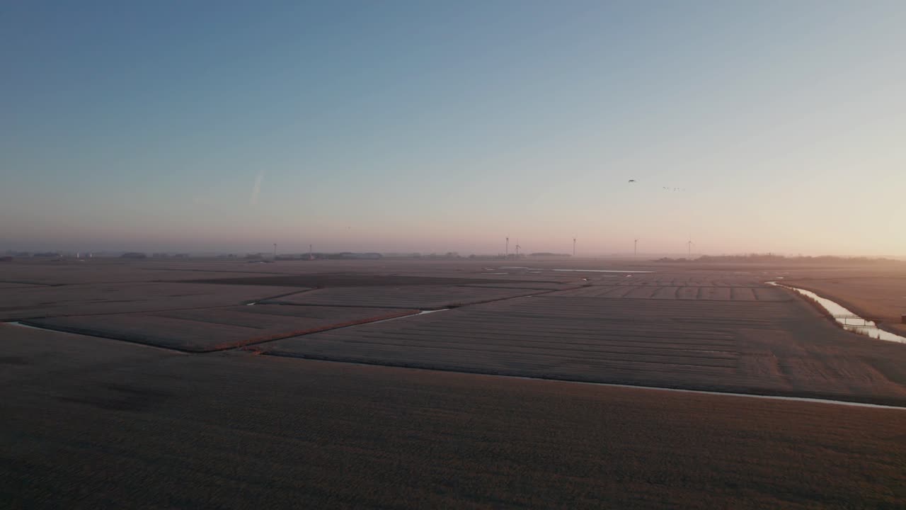 弗里斯蘭省西南部科恩韋爾德附近的弗里斯蘭風景中的風車