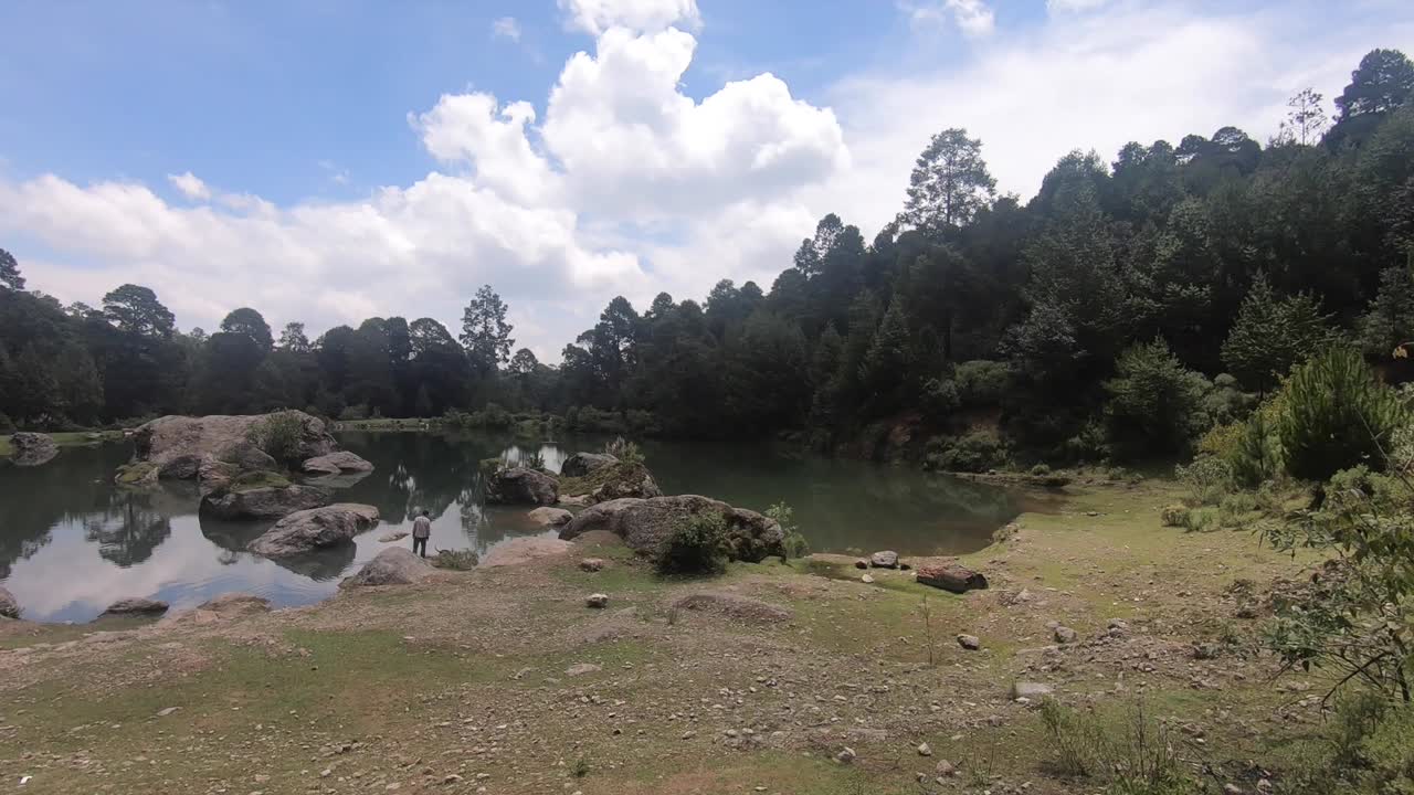 View of lake in a forest during a beautiful day