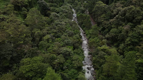 aerial view of the jungle following up the river in the mountains of boquete, panama