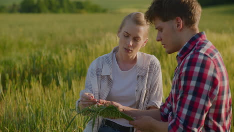 two farmers talk against backdrop of setting sun