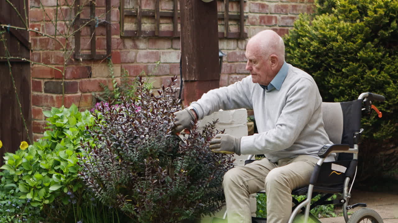 Elderly man gardening in his yard from wheelchair