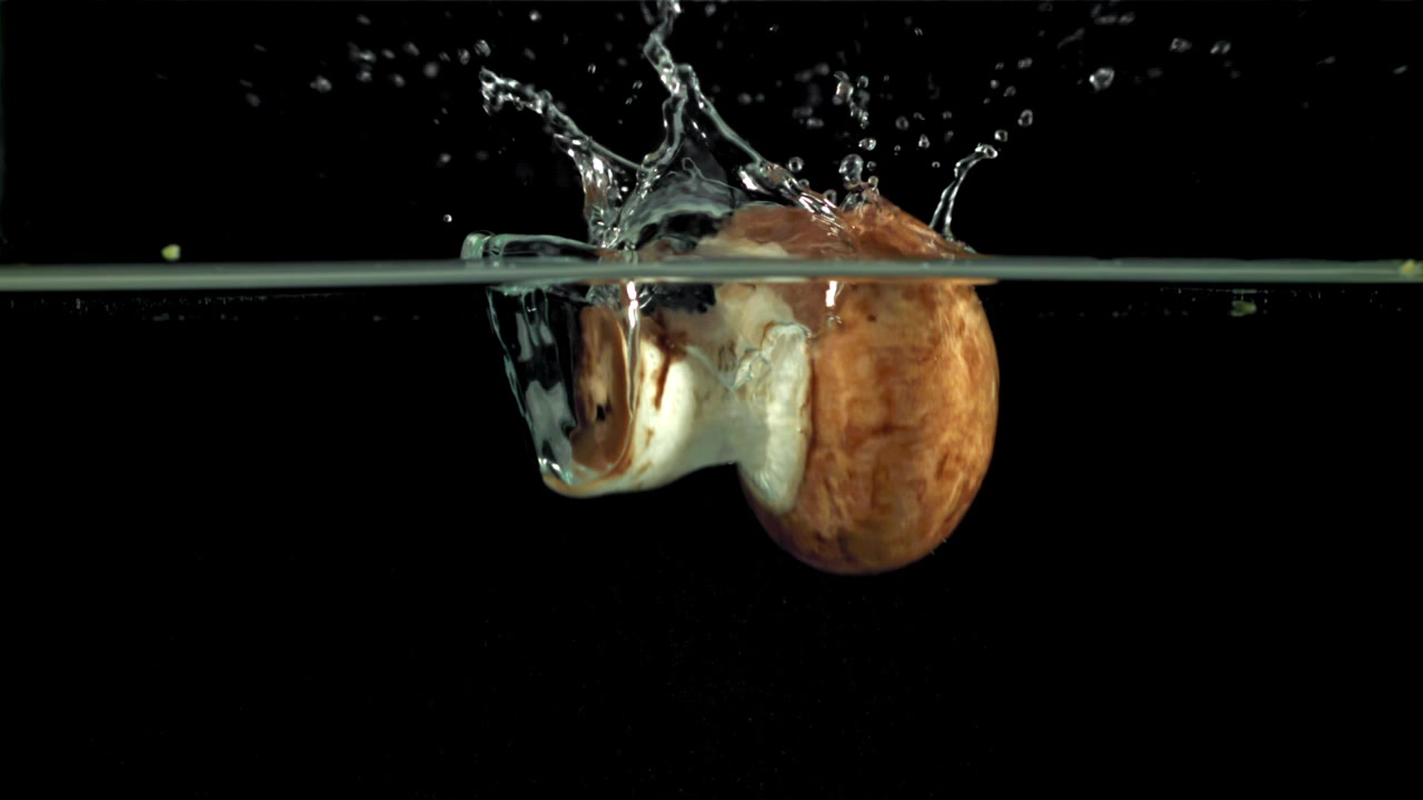 Fungo fresco che cade nell'acqua con uno schizzo al rallentatore