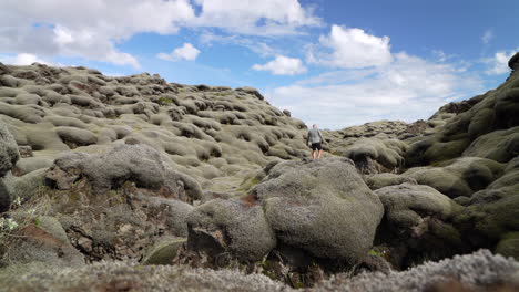 immersive footage of hikers traversing moss-covered lavafields in iceland, showcasing the distinctive cetraria lichen that thrives in this volcanic landscape.