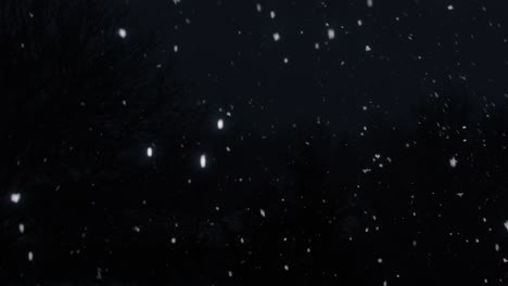 very dark january night with visible snowflakes falling in slow-motion