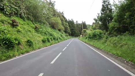 Scenic-road-lined-with-lush-green-trees-and-foliage-in-Ponta-Delgada