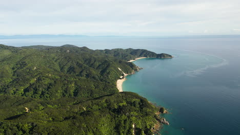 fotografía aérea de un parque nacional densamente poblado de abel tasman con la bahía de anapai cerca