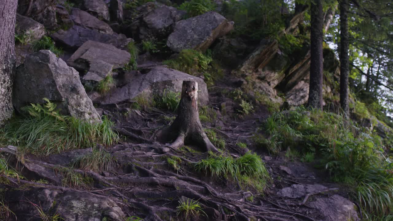 hombre subiendo un sendero de montaña rocosa