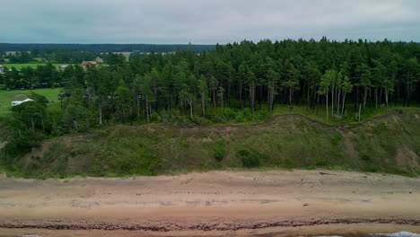 Steepbank-shores-coast,-trees,-rolling-waves,-and-beach