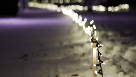 blurry lights on winter walkway in park, anamorphic bokeh