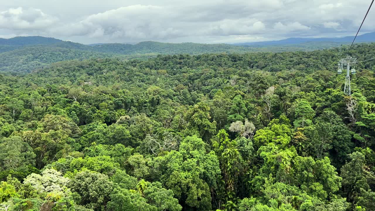 Lush Rainforest At The Wet Tropics World Heritage Area From Cable Car In Queensland, Australia. Aerial