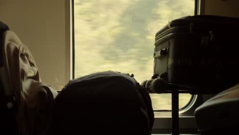 stored luggage in moving train while riding through forestry landscape