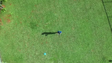 imágenes aéreas de drones ascendentes de un hombre que controla y vuela un drone en un campo de hierba en brasilia, brasil