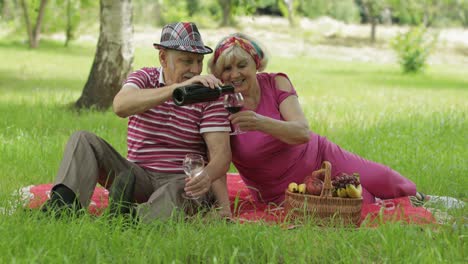 Family-weekend-picnic-in-park.-Active-senior-old-caucasian-couple-sit-on-blanket-and-drink-wine