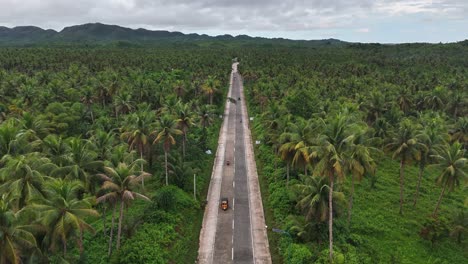 drone shot captures maasin basin's iconic road bordered by dense coconut plantation on siargao island, philippines, with layered hills in background and tropical greenery stretching to horizon
