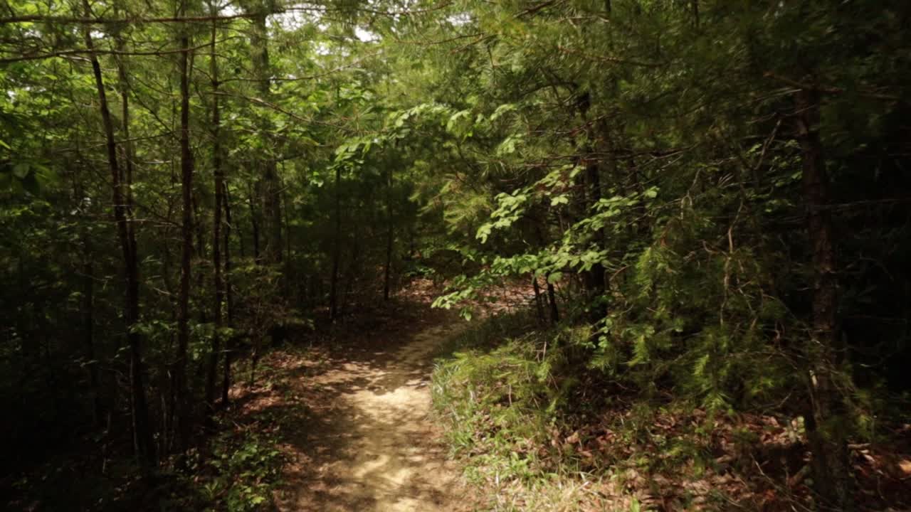 Nature Hike at Natural Bridge State Park, Kentucky