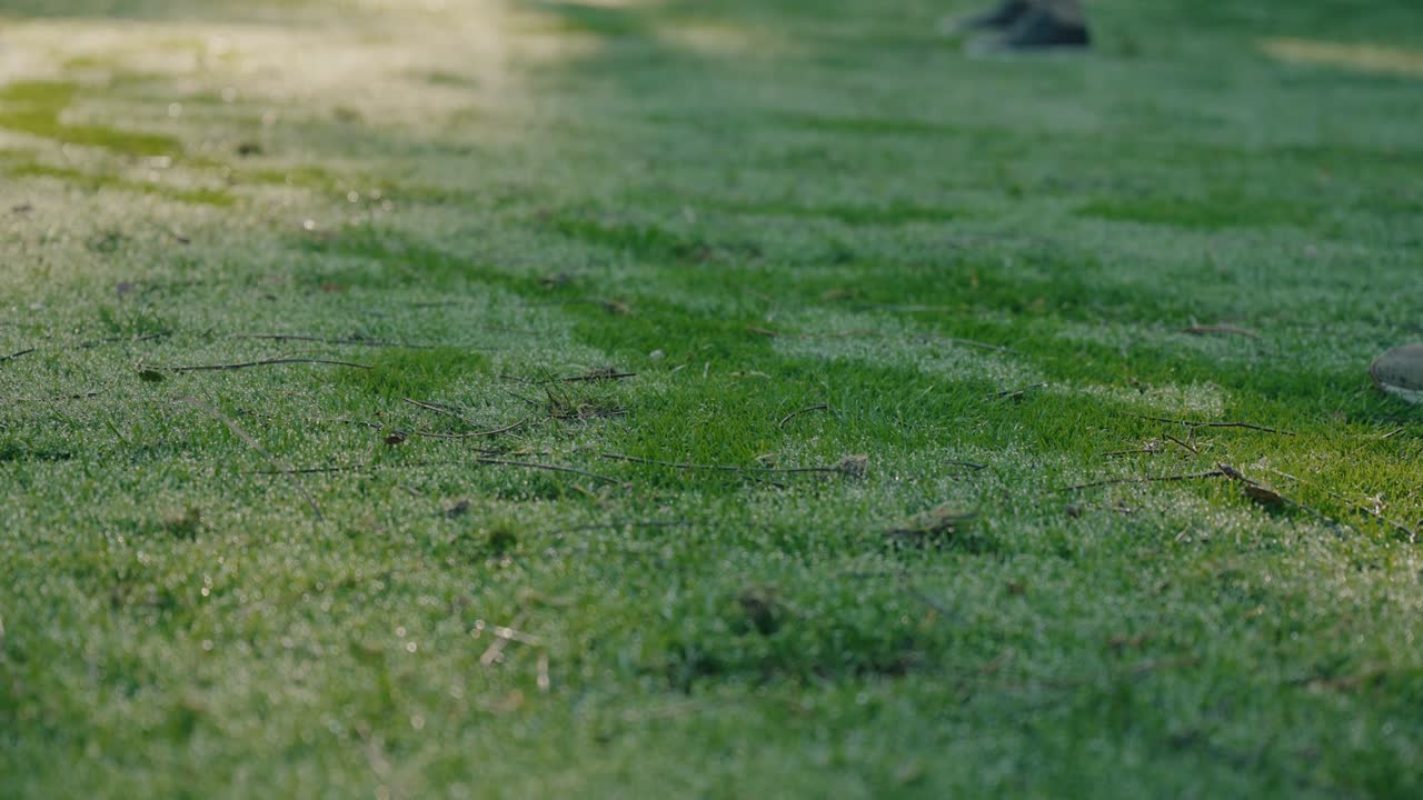 Golfmaila liikkuu kasteen läpi ruoholla auringonnousun aikaan harjoituslyönnin aikana
