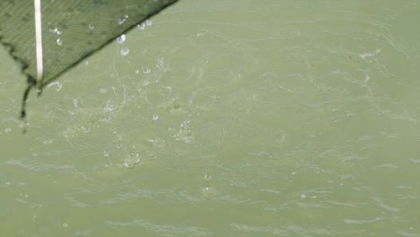 Un-Hombre-Sumergiendo-Una-Red-Elevadora-En-El-Agua