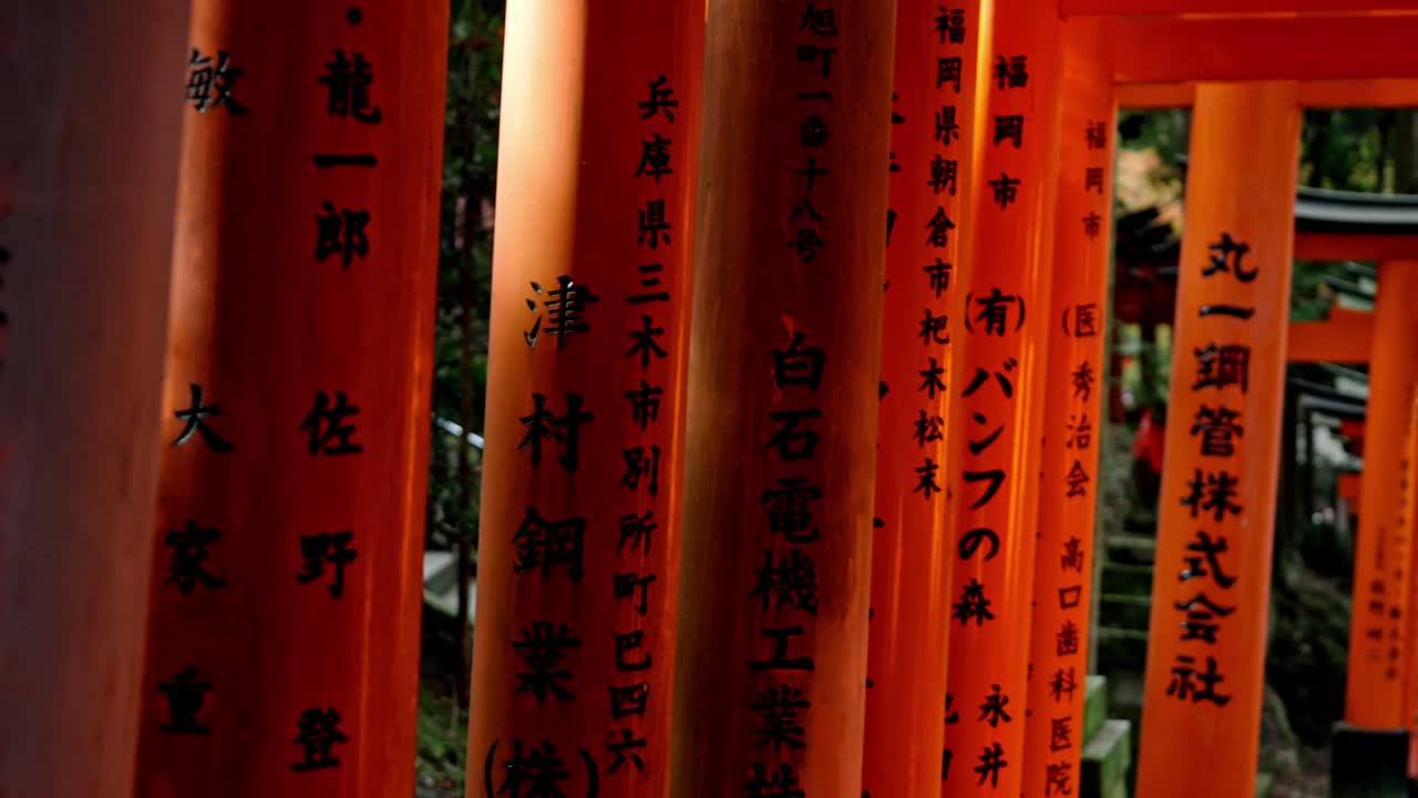 The iconic vermilion torii gates of Fushimi Inari Shrine in Kyoto glow softly in the early light of sunrise.