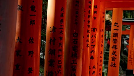 the iconic vermilion torii gates of fushimi inari shrine in kyoto glow softly in the early light of sunrise.