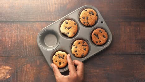 hand picking a chocolate chip muffin from a tin