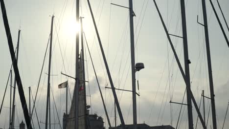 yacht masts in a marina at sunset