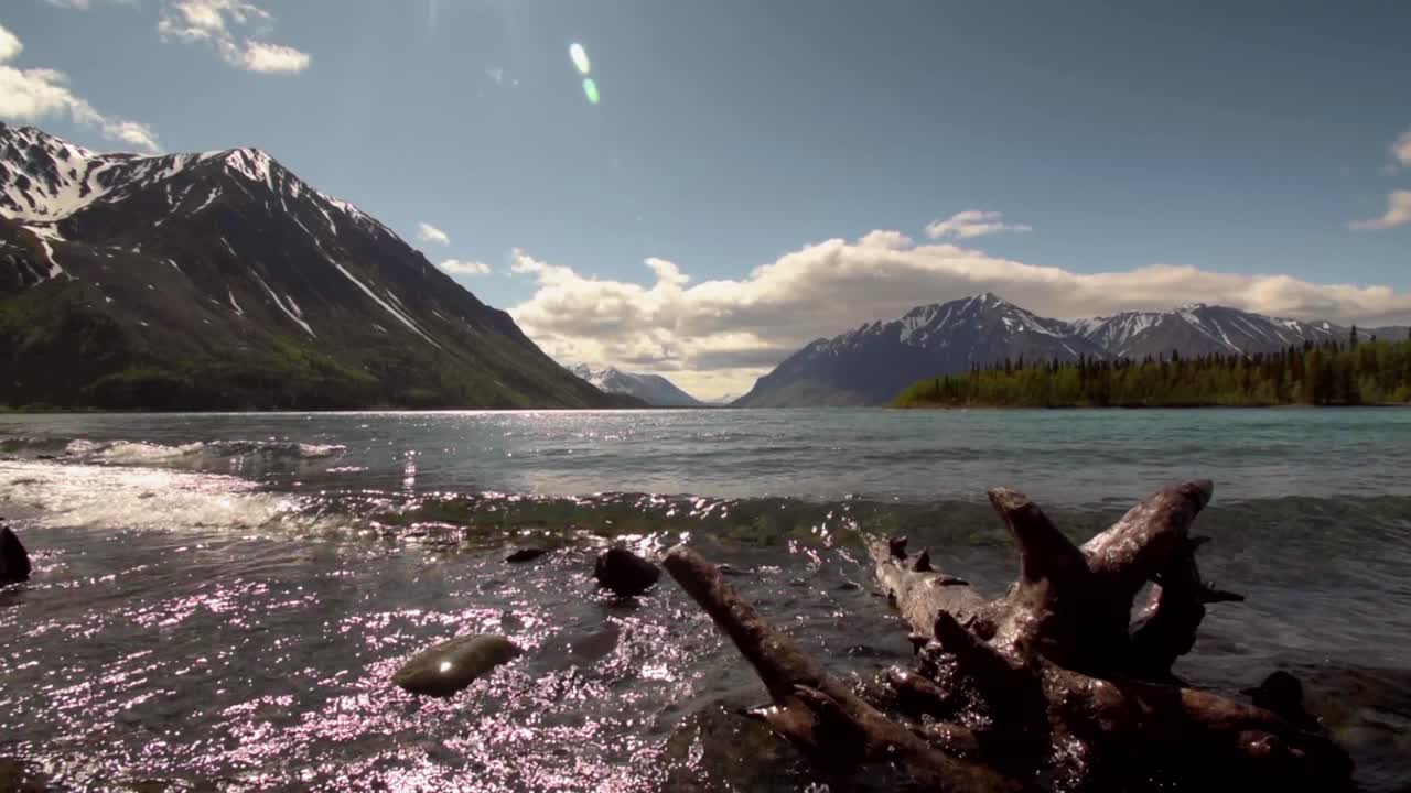 Low wide angle view of Yukon Kathleen lake waves crashing and flowing towards dead wood tree in water by scenic mountain countryside range on sunny day with sun flare, Canada, close up handheld