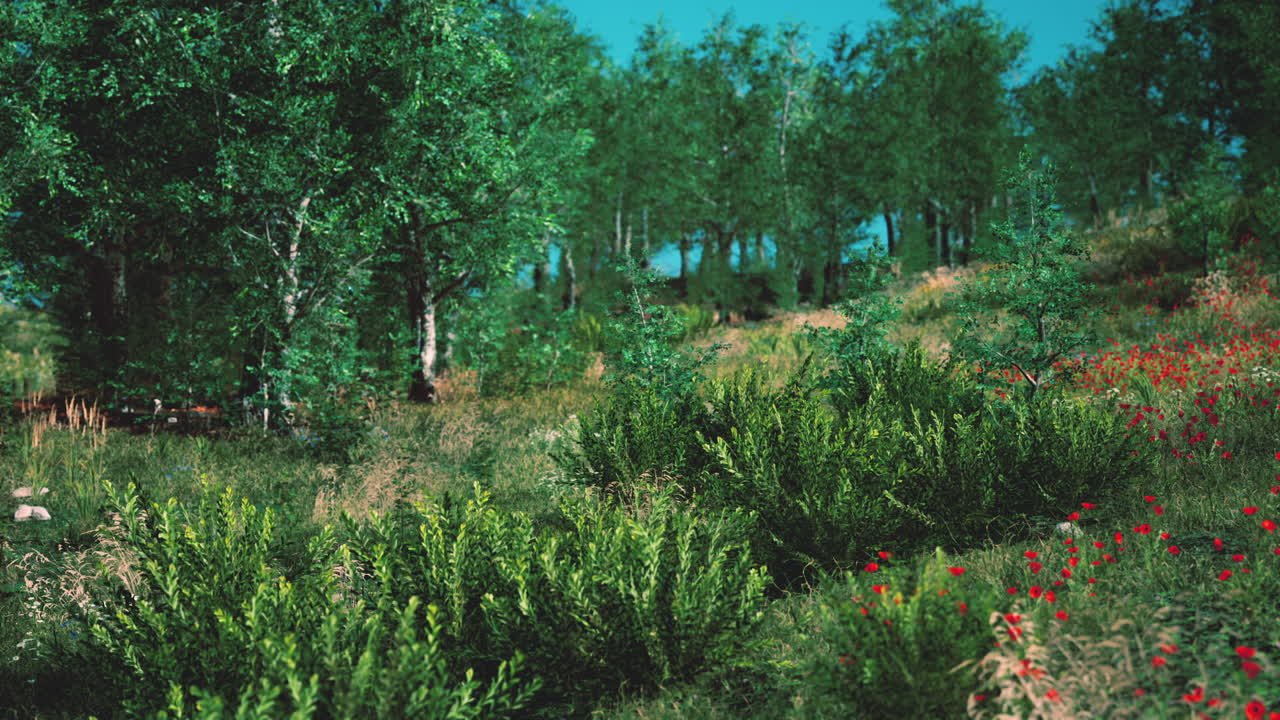 풍경적 인 생동감 있는 초록색 숲 풍경 과 초원