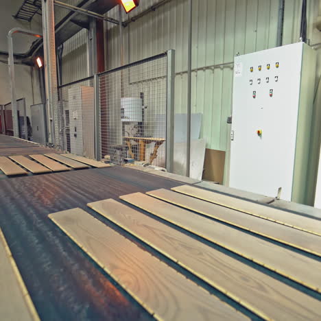 a young carpenter checks the quality of the boards. manufacture of parquet boards.