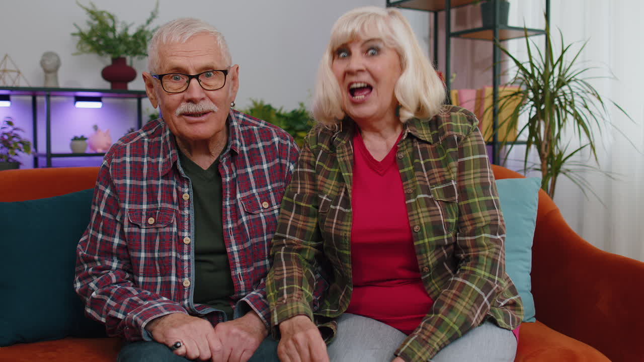 노인 여성이 온라인 비디오 통화를 하고 대화하고 손을 흔들며 카메라 대화를 보고 있습니다.