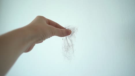 a woman's hand holds and releases a cat's fur