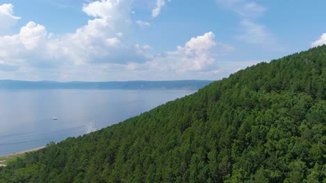 panoramic view of a lakeside forest