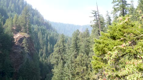 tilting view of the smoke in the canyon during the summer of 2021