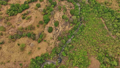 Caldera-Panama-Aerial-v5-cinematic-vertical-birds-eye-view-drone-flyover-jaguatta-waterfall,-tilt-up-reveals-wild-nature-landscape-in-deserted-remote-countryside---Shot-with-Mavic-3-Cine---April-2022