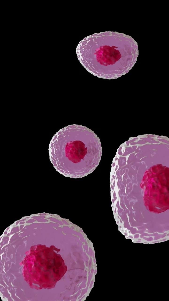 Animazione di cellule microscopiche rosse e rosa su sfondo nero