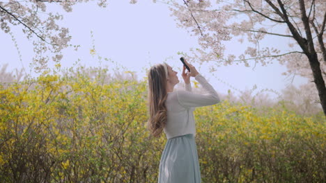 young woman in dress using smartphone at the park in yangjae-dong, seocho district, seoul city, south korea