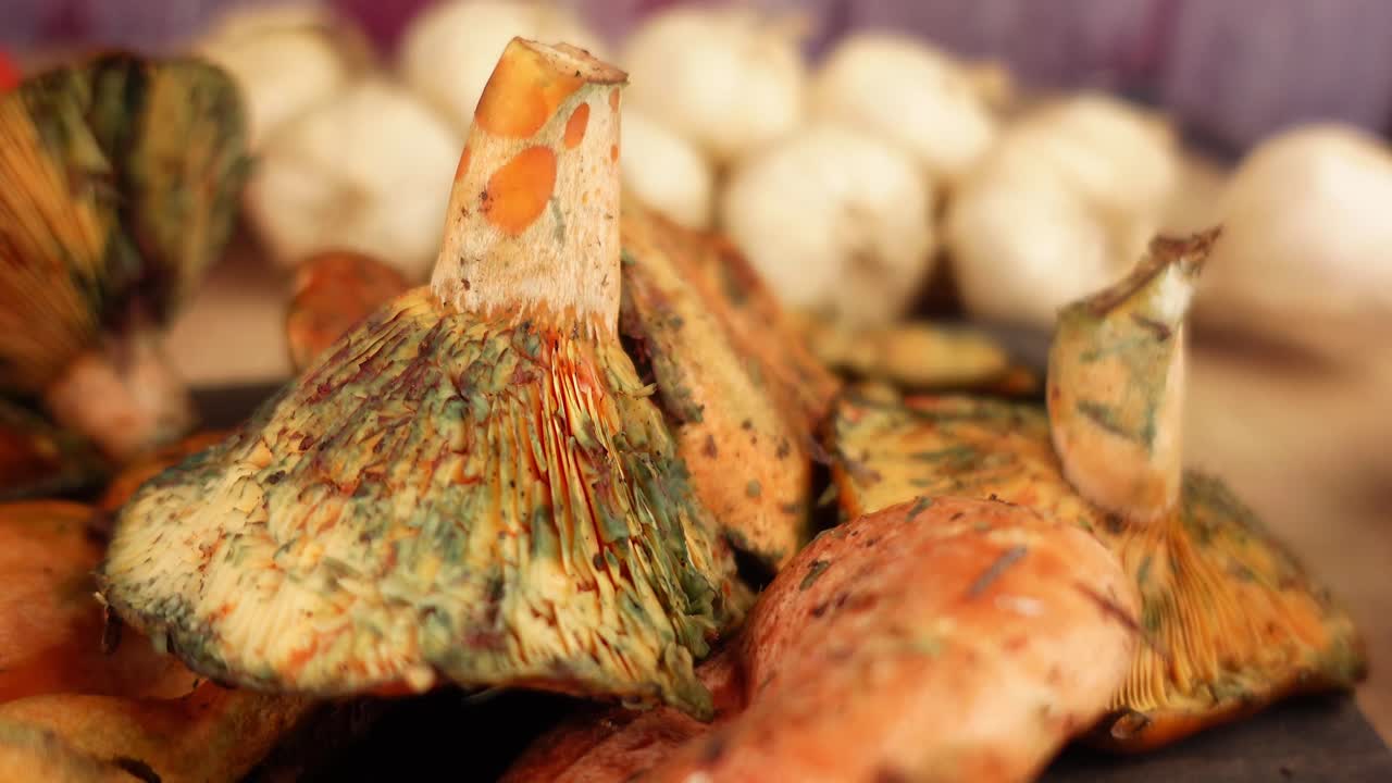 Close-up of Lactarius Sanguifluus Mushrooms