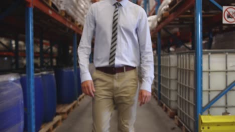 male manager in a warehouse 4k