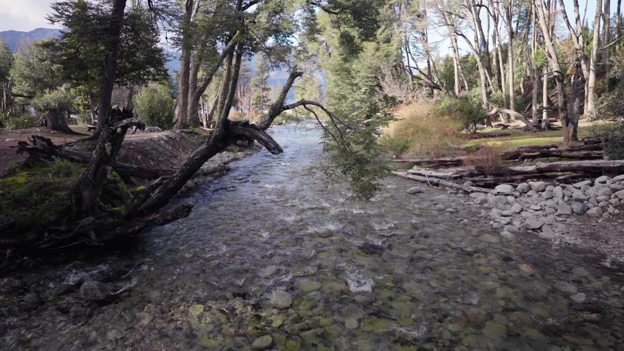 En krystalklar bjergstrøm flyder gennem Villa Traful, Lago Traful, Neuquén, Argentina, omkranset af indfødt patagonsk skov, bredskov, stenede flodbredder og et uberørt ferskvandsøkosystem.