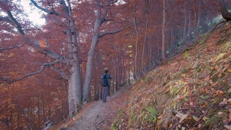 Vista-Trasera-Del-Hombre-Excursionista-Con-Mochila-De-Trekking-Caminando-Por-Senderos-En-Bosques-Oscuros-De-Otoño-Se-Detiene-Y-Toma-Una-Foto-Con-Su-Teléfono-Inteligente-En-El-Parque-Nacional-De-Ordesa,-España