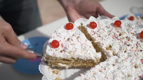 woman´s hand serving a piece of white cream cake with red candy cherries on a sunny summer event at the garden